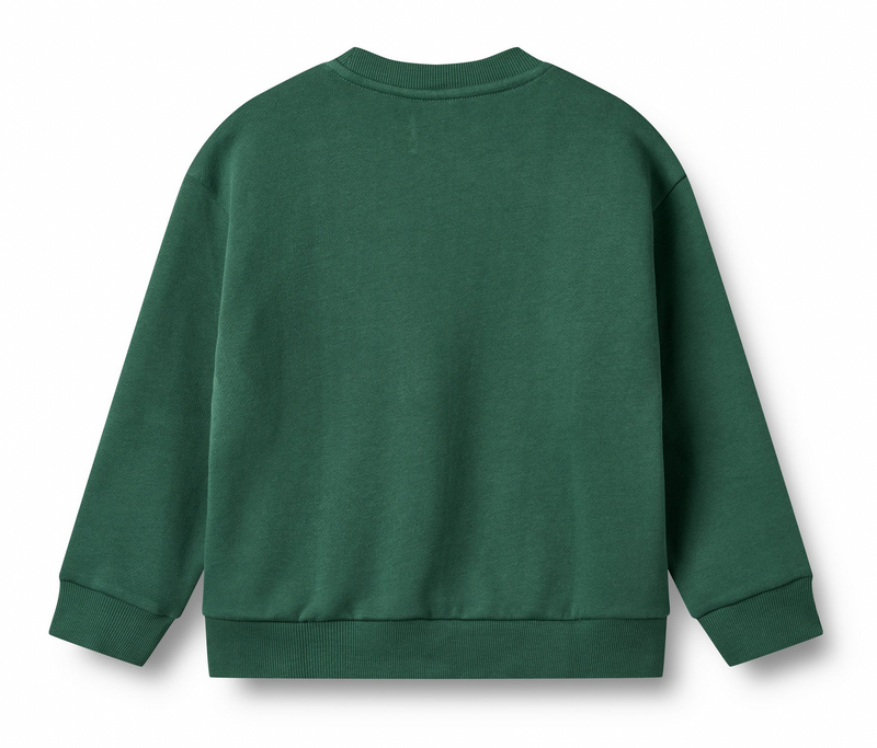 Sweatshirt Shirt | Kale | Wheat Clothing-2