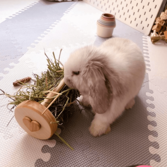 Small Animal Hay Rollers-2