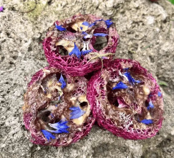 Hibiscus Cornflower Banana Flavoured Loofah Chew-1