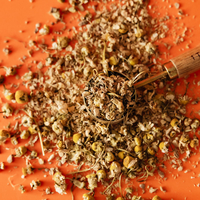 Organic Chamomile Ginger-2