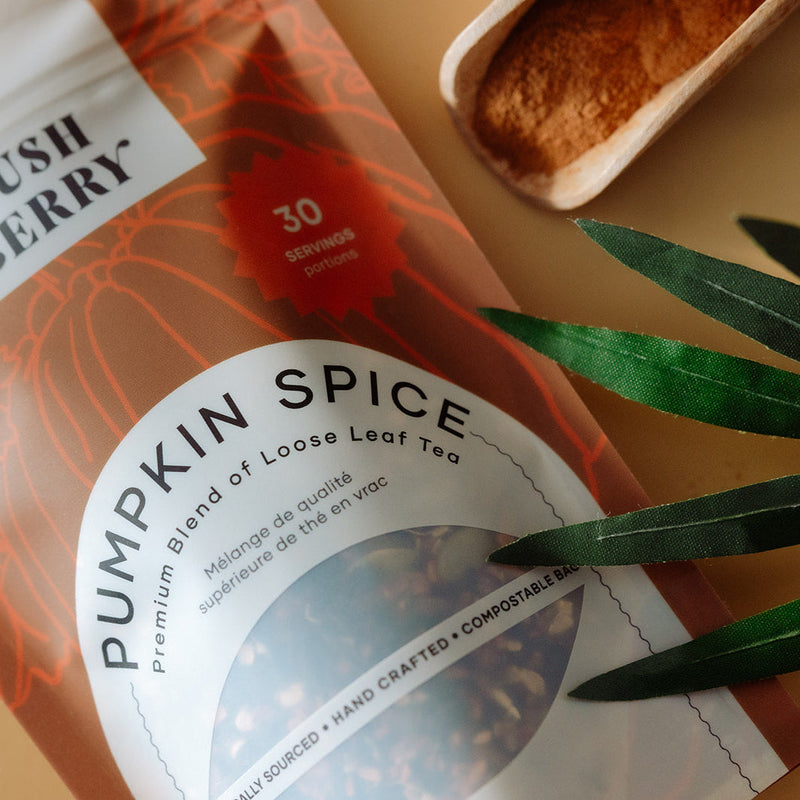 Organic Pumpkin Spice Tea-3