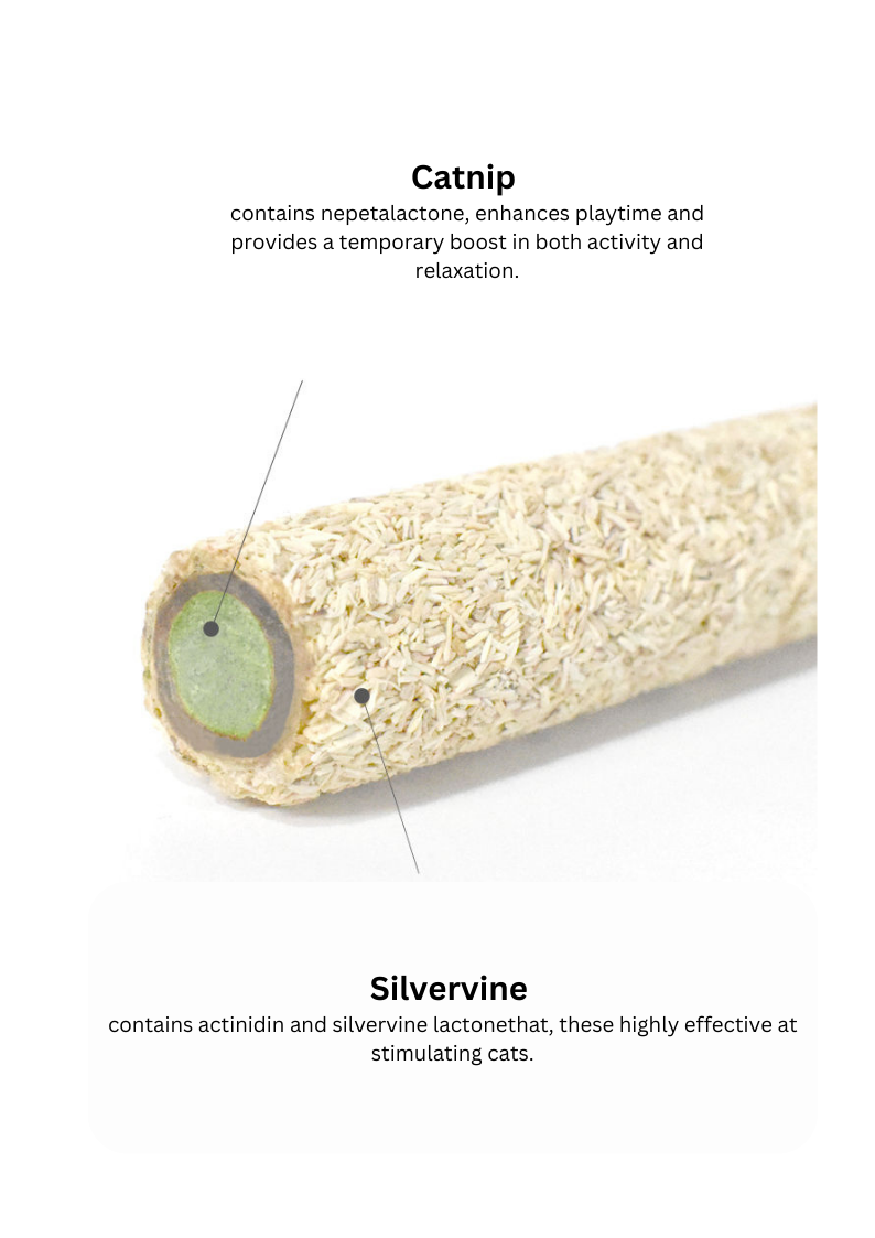 Silvervine Egg Rolls 2pcs-2