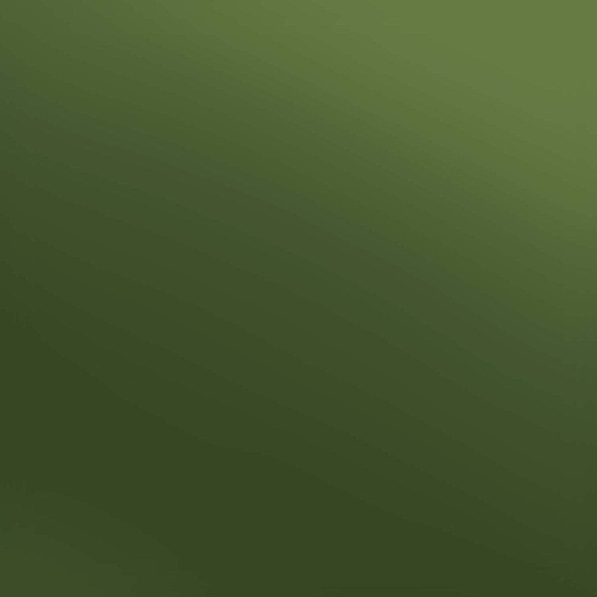 Siser Olive Electric-1