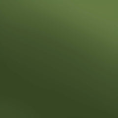 Siser Olive Electric-1
