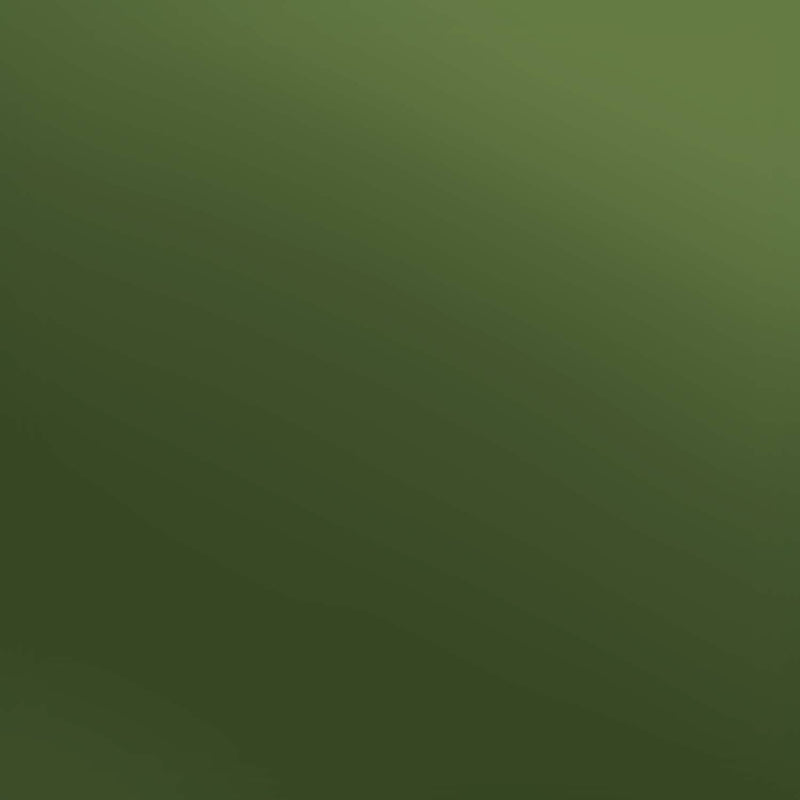 Siser Olive Electric-1