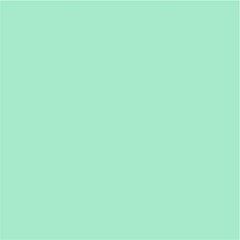 Siser Easyweed Stretch Sweet Mint-1