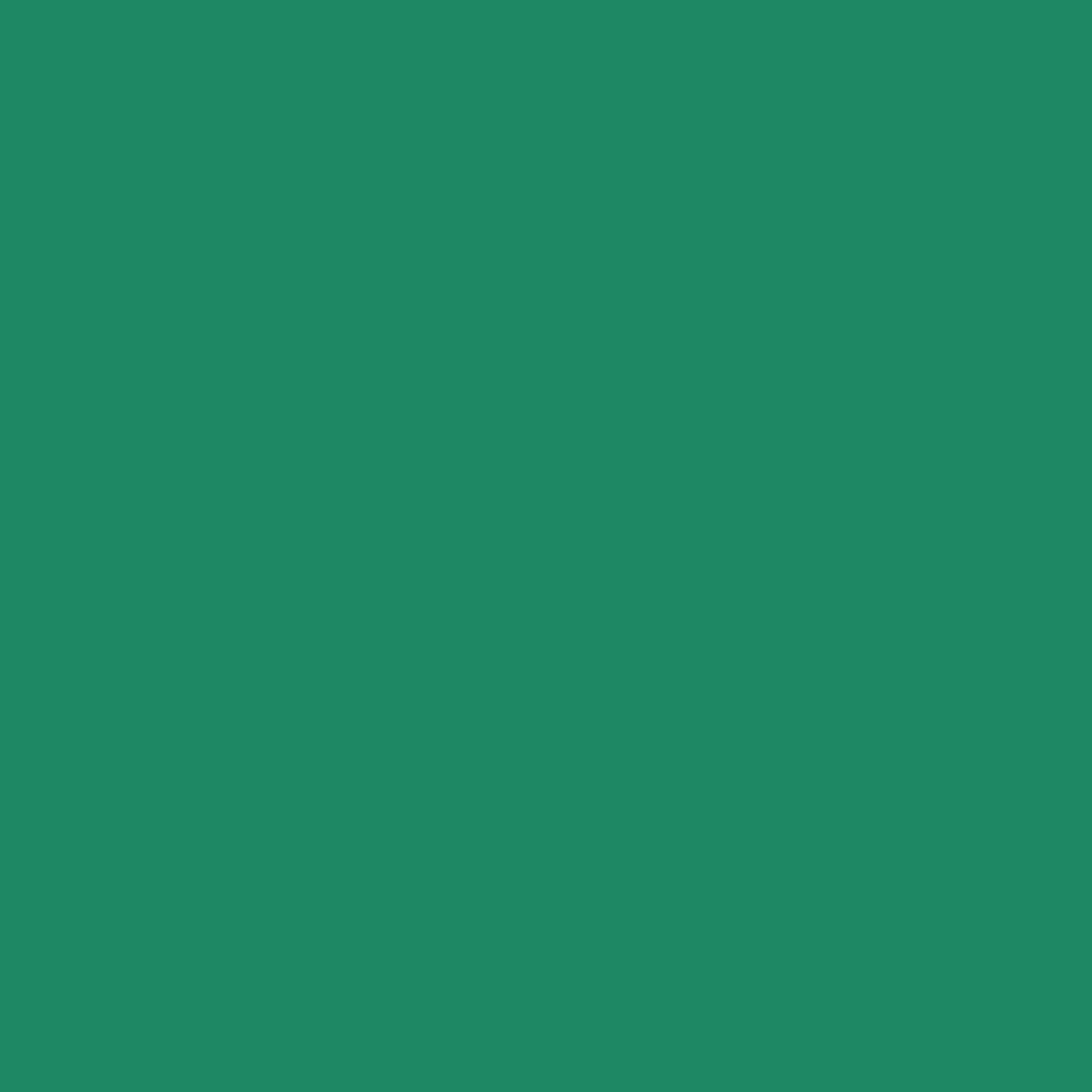 Siser Caddet Green Easyweed  12"sheets and rolls-1