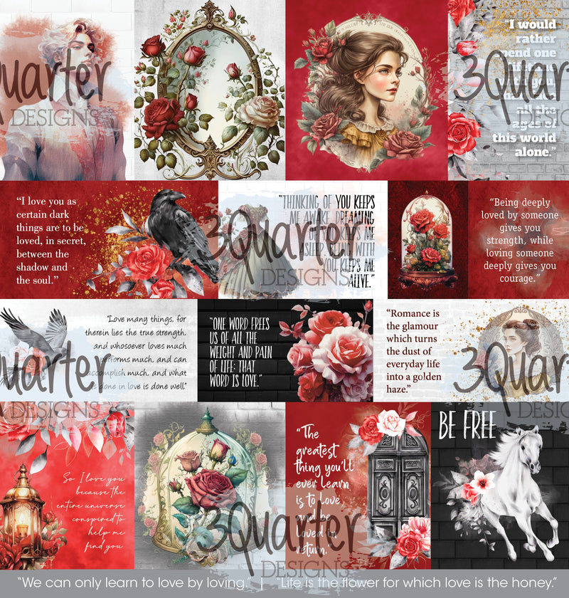 Spellbound Rose 12x12 Collection Pack-10