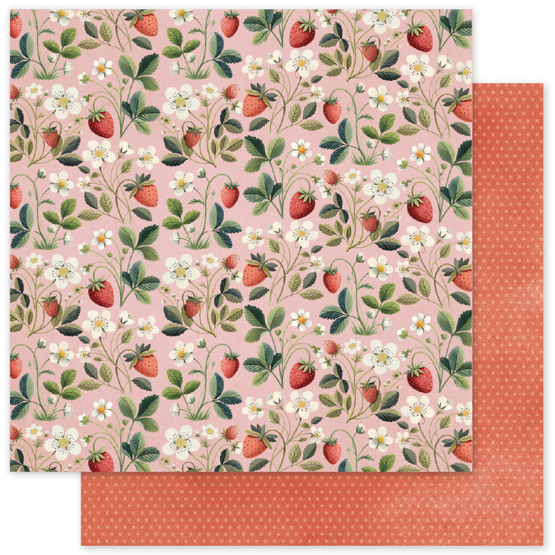 Papier Fraise Amis B 30,5 x 30,5 cm (Lot de 12) 34866-1