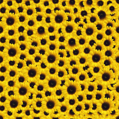 Suntastic Yellow Sunflower Pattern Adhesive Vinyl-1