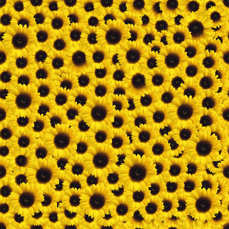 Craft HTV Suntastic Yellow Sunflower Pattern-1
