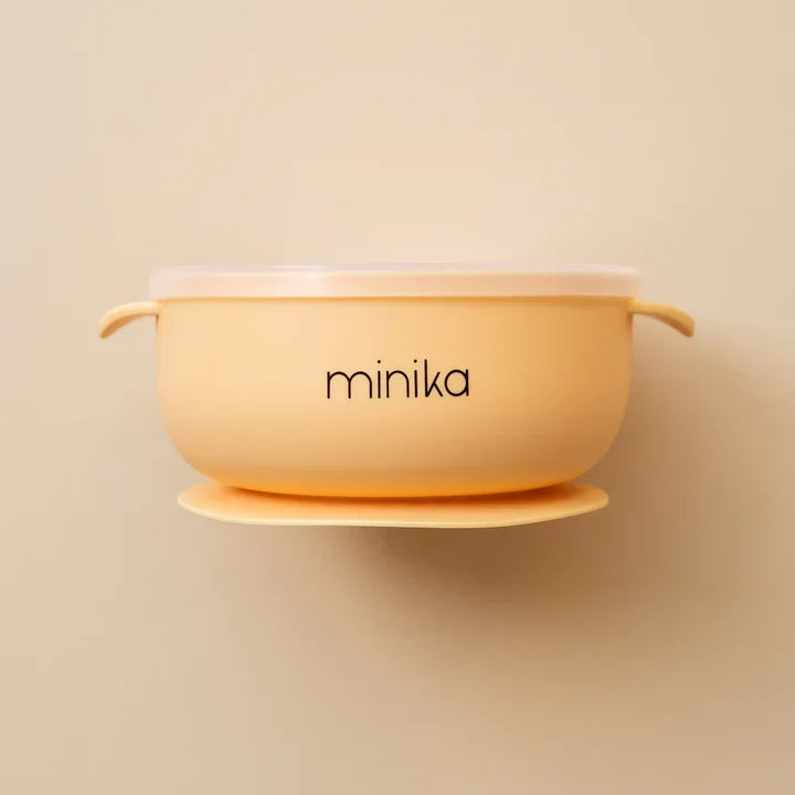 Silicone Bowl with Lid-7