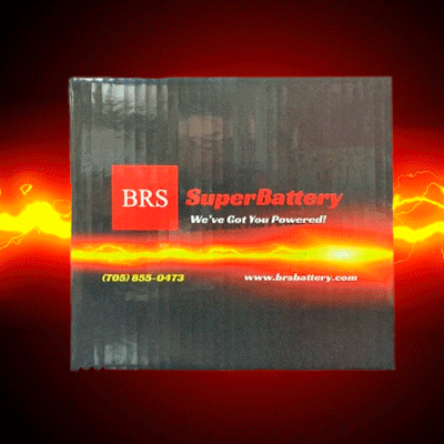 BRS20CH-BS 30 Day Warranty Battery & Smart Charger / Maintainer Combo Bundle Kit-16