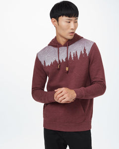 Constellation Juniper Hoodie-1