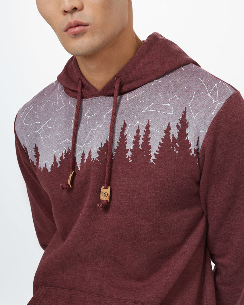 Constellation Juniper Hoodie-3