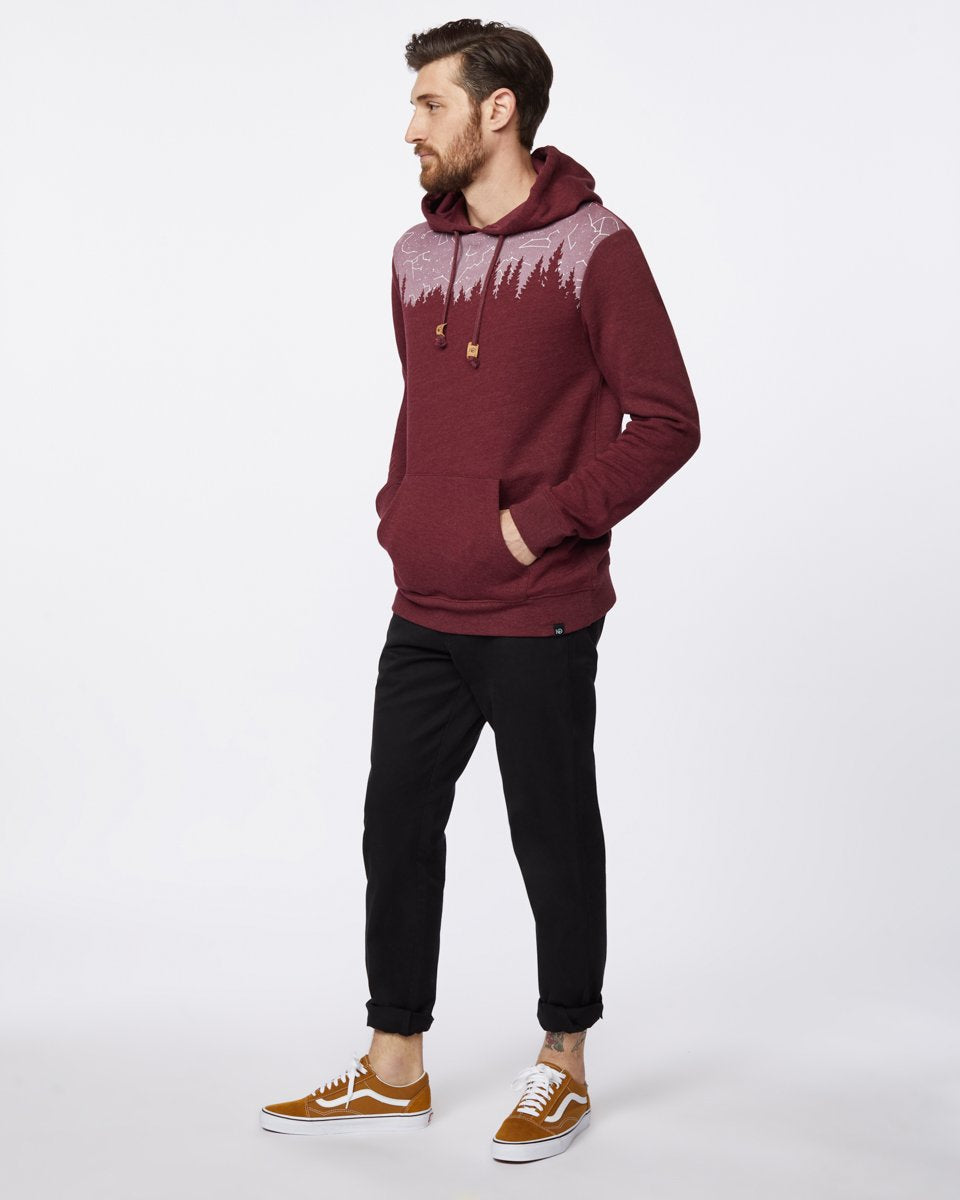 Constellation Juniper Hoodie-1