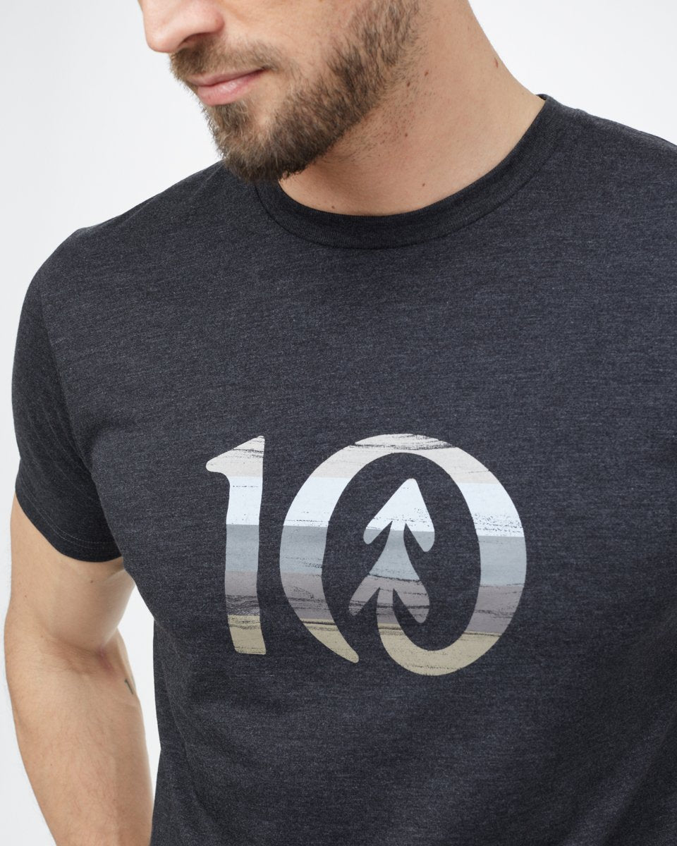 Spruce Stripe Ten T-Shirt-2