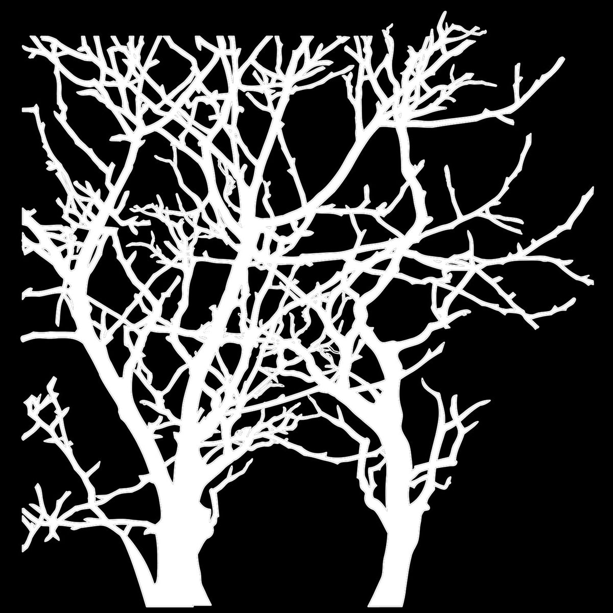 Gabarit The Crafters Workshop 15x15 cm Branches-1