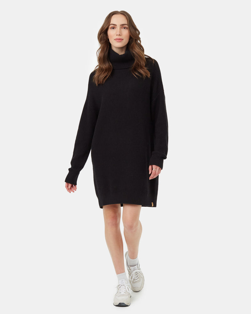 Highline Oversized Turtleneck Dress-1