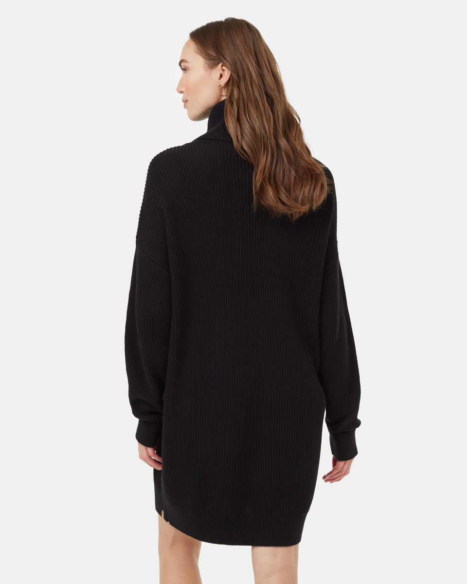 Highline Oversized Turtleneck Dress-3