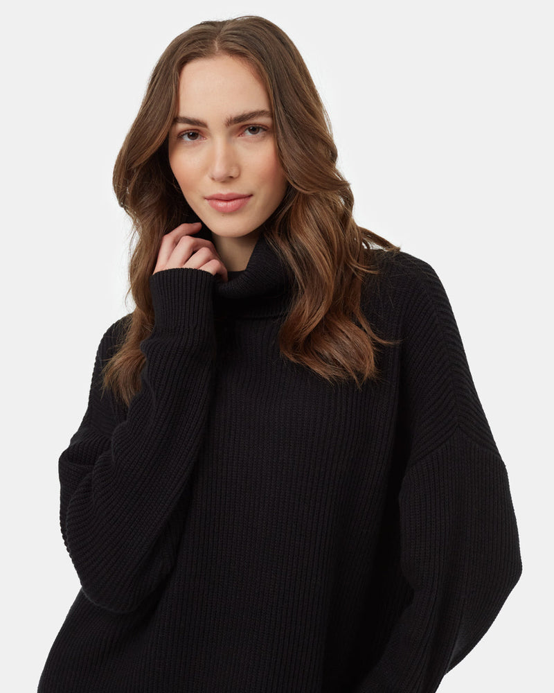 Highline Oversized Turtleneck Dress-4