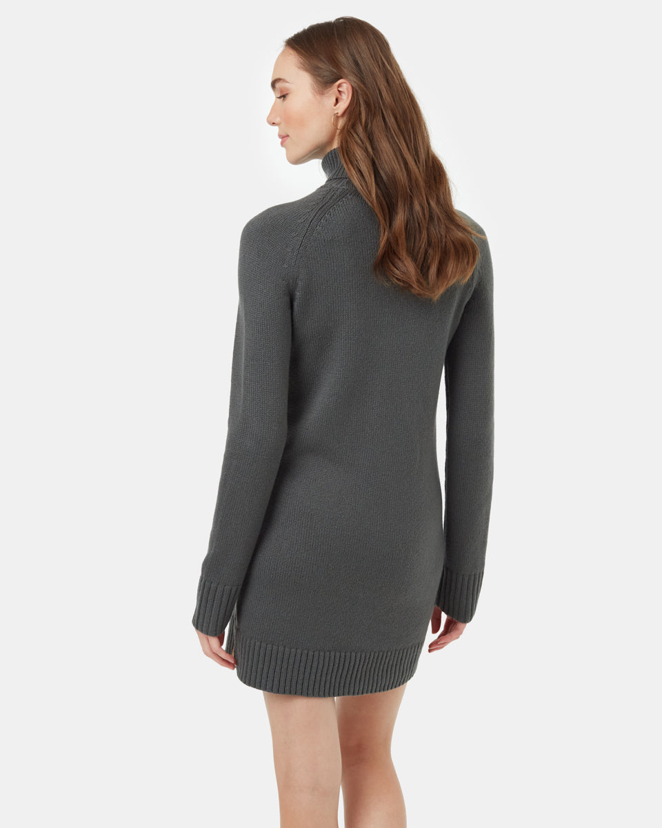Highline Turtleneck Dress-3