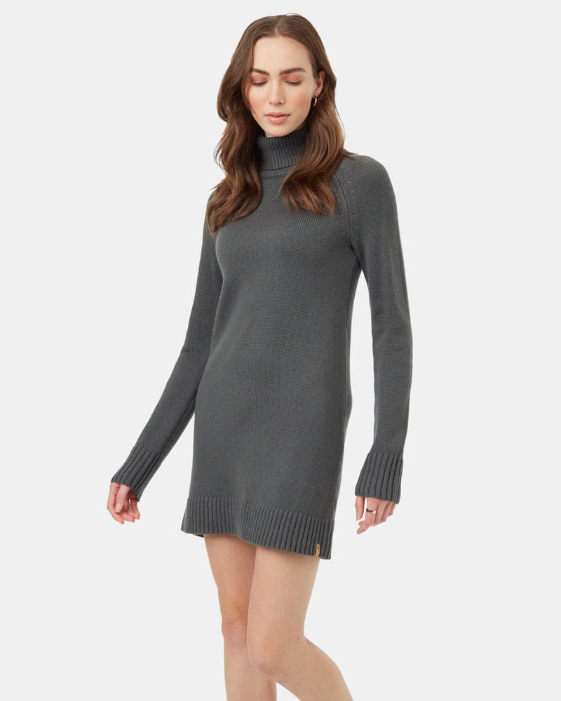 Highline Turtleneck Dress-2