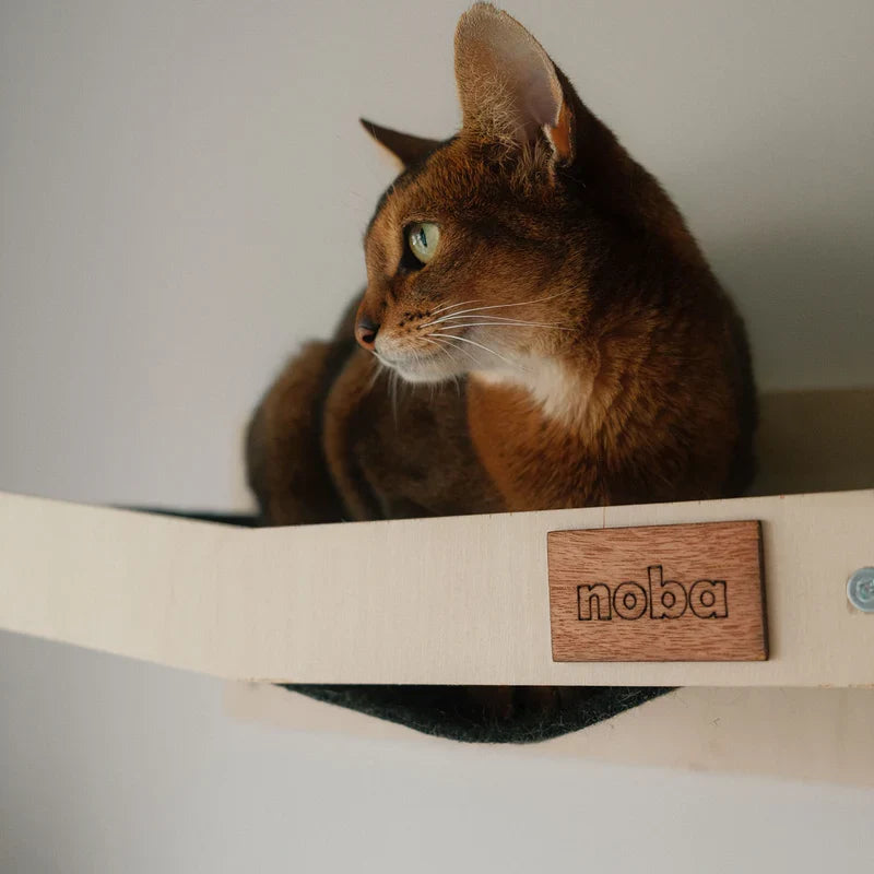 Wall Mounted Scratchable Cat Hammock-2