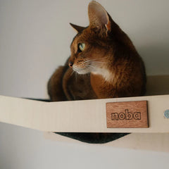 Wall Mounted Scratchable Cat Hammock-2