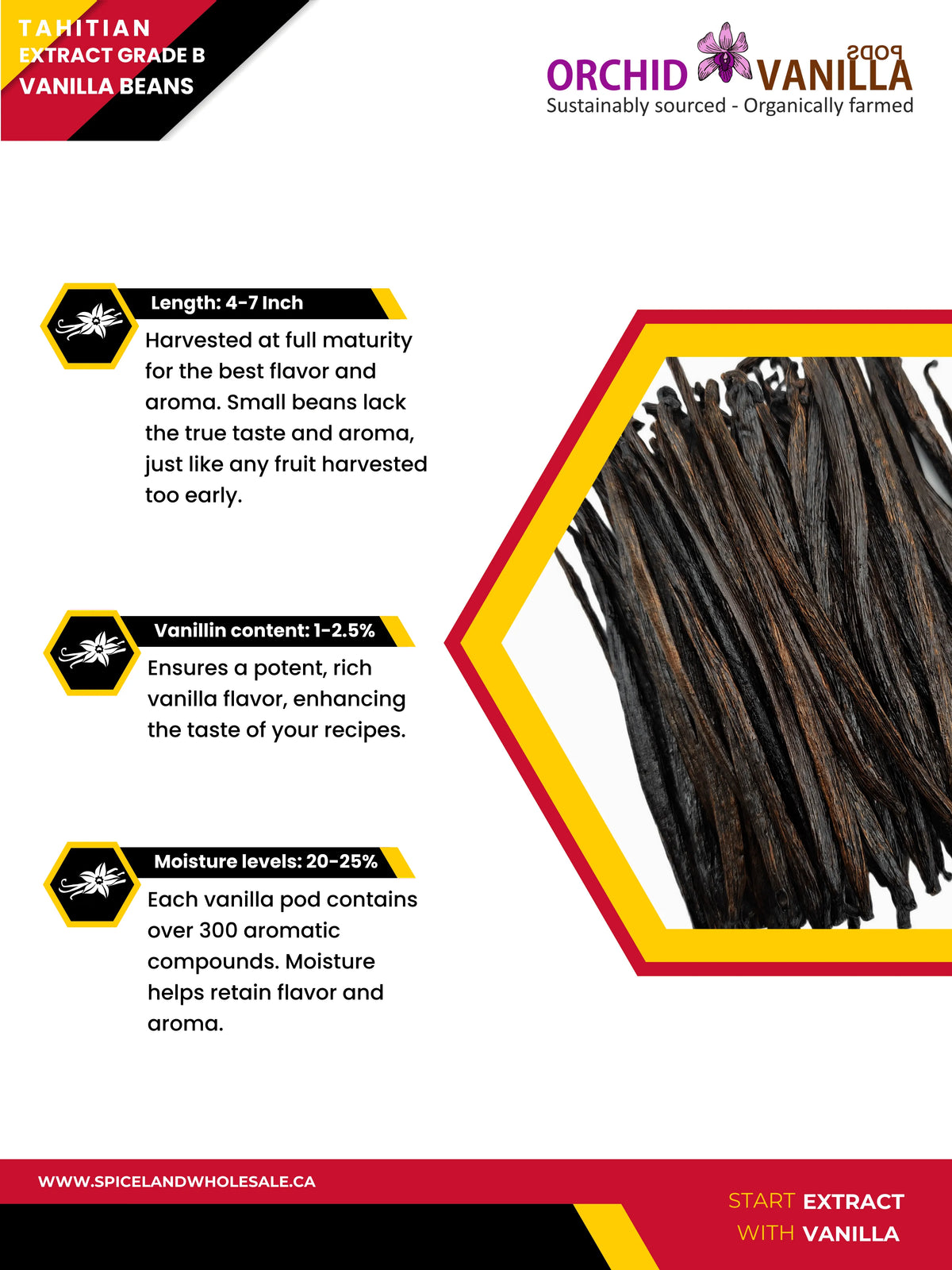 Tahitian Extract Vanilla Beans Grade-B <br>For Extract Making<BR>By Pound-2