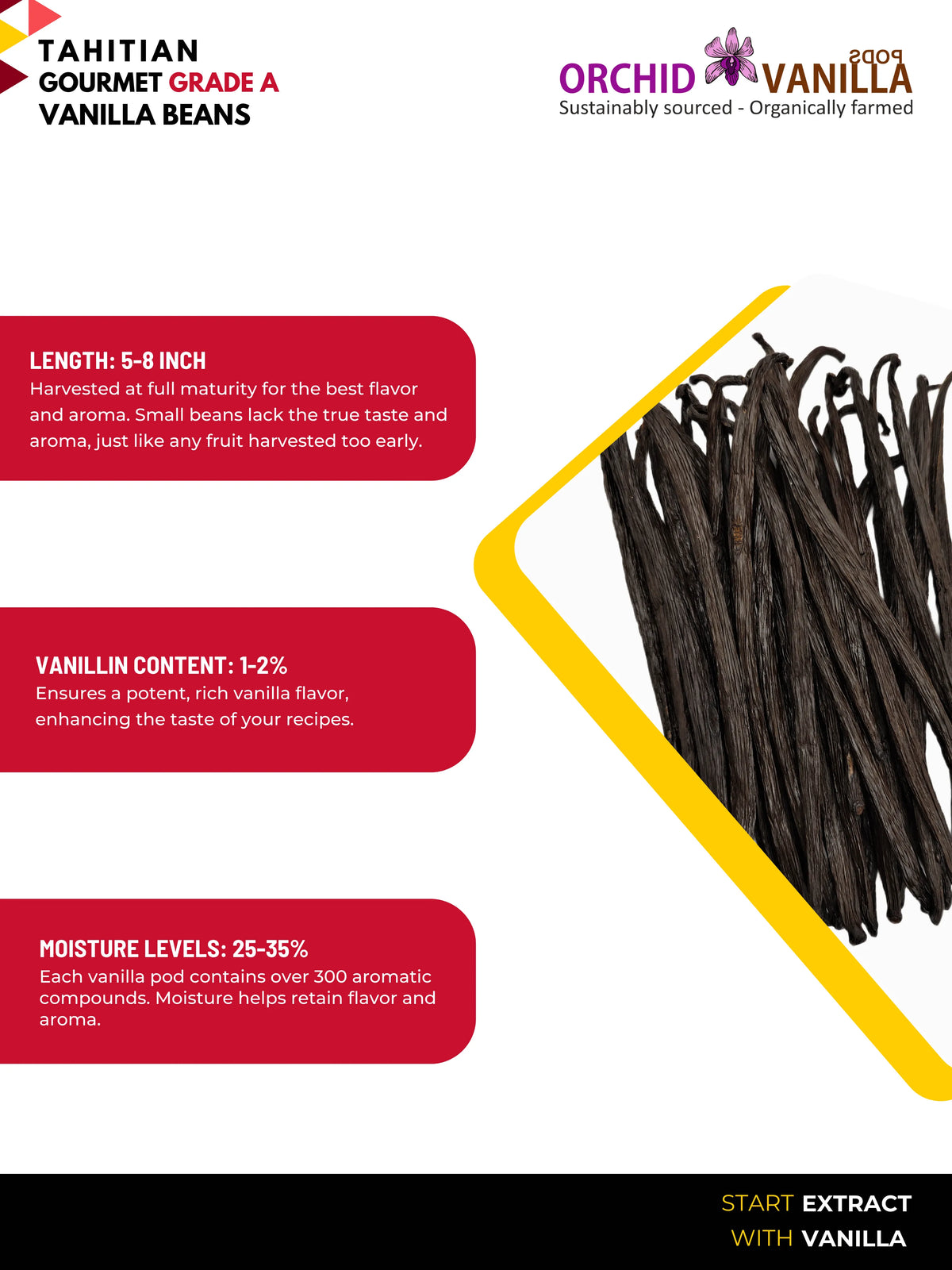 Tahitian Vanilla Beans Gourmet Grade-A <br>For Extract And Baking<BR>By Ounce-2