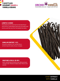 Tahitian Vanilla Beans Gourmet Grade-A <br>For Extract And Baking<BR>By Ounce-2