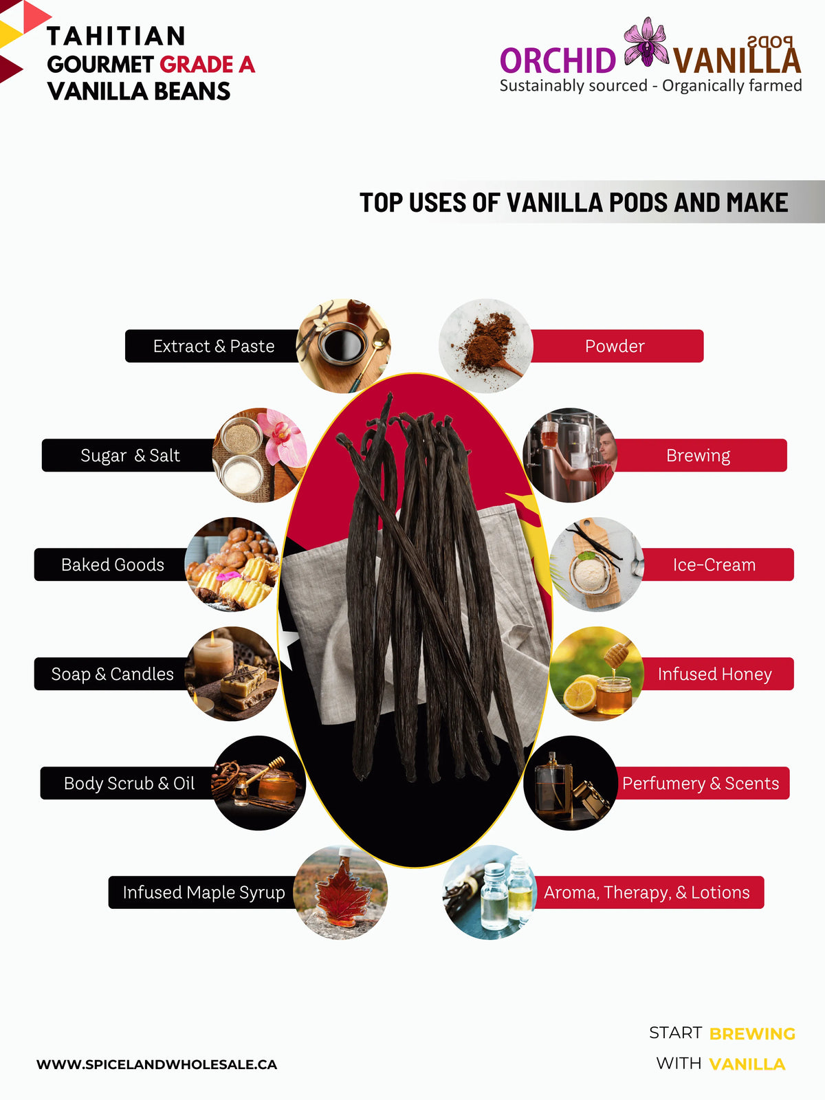 Tahitian Vanilla Beans Gourmet Grade-A <br>For Extract And Baking<BR>By Count-5