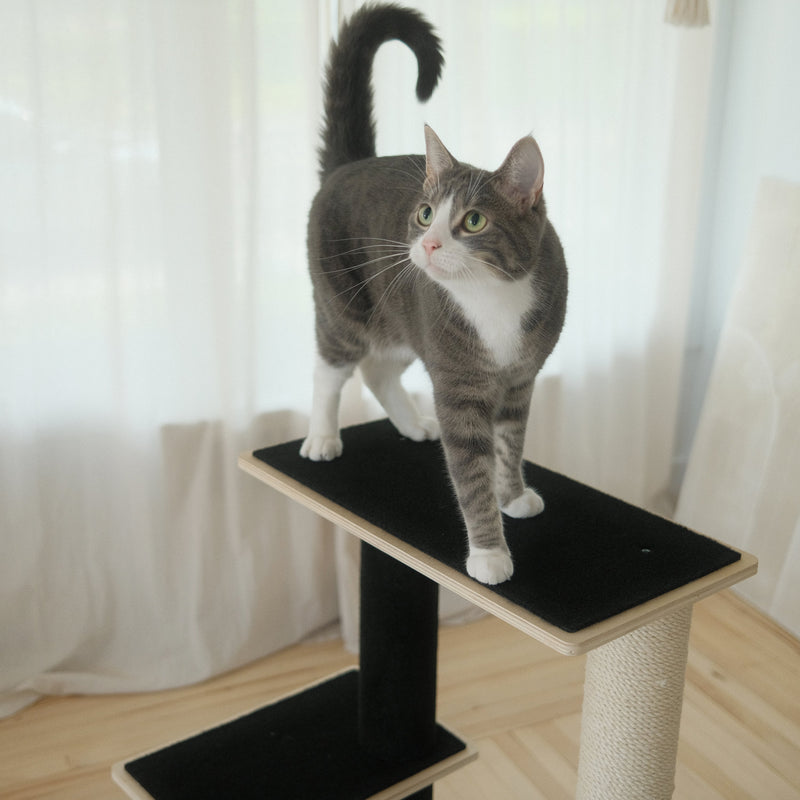 Noba Modern Plywood 2-Level Cat Tree-8