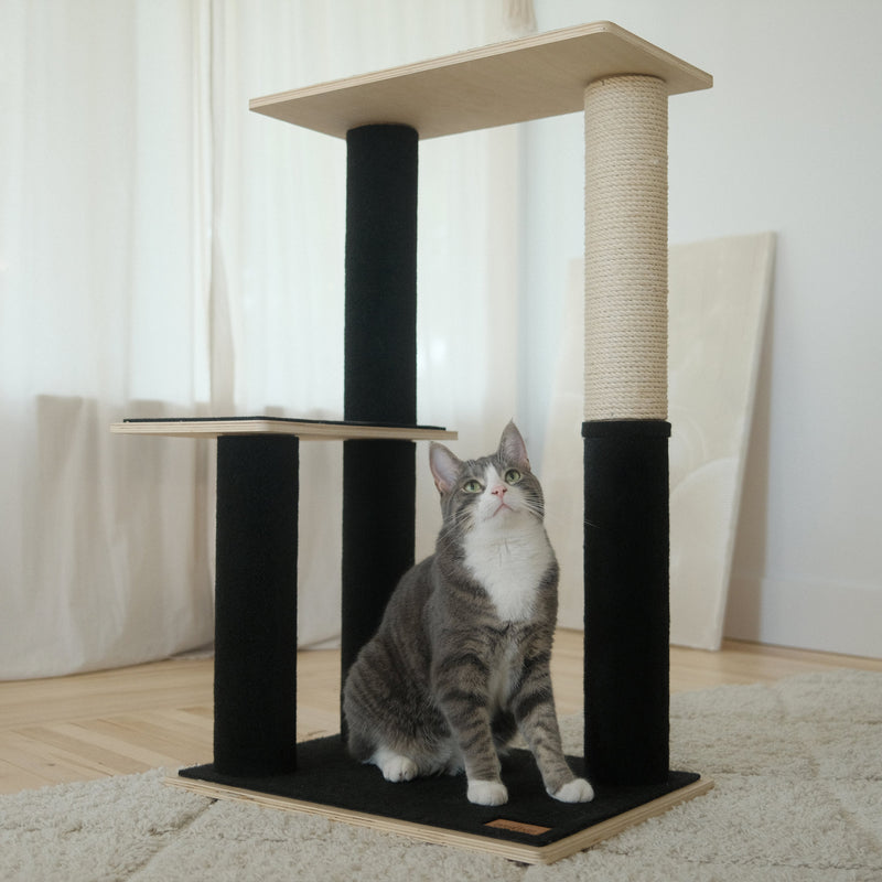 Noba Modern Plywood 2-Level Cat Tree-9