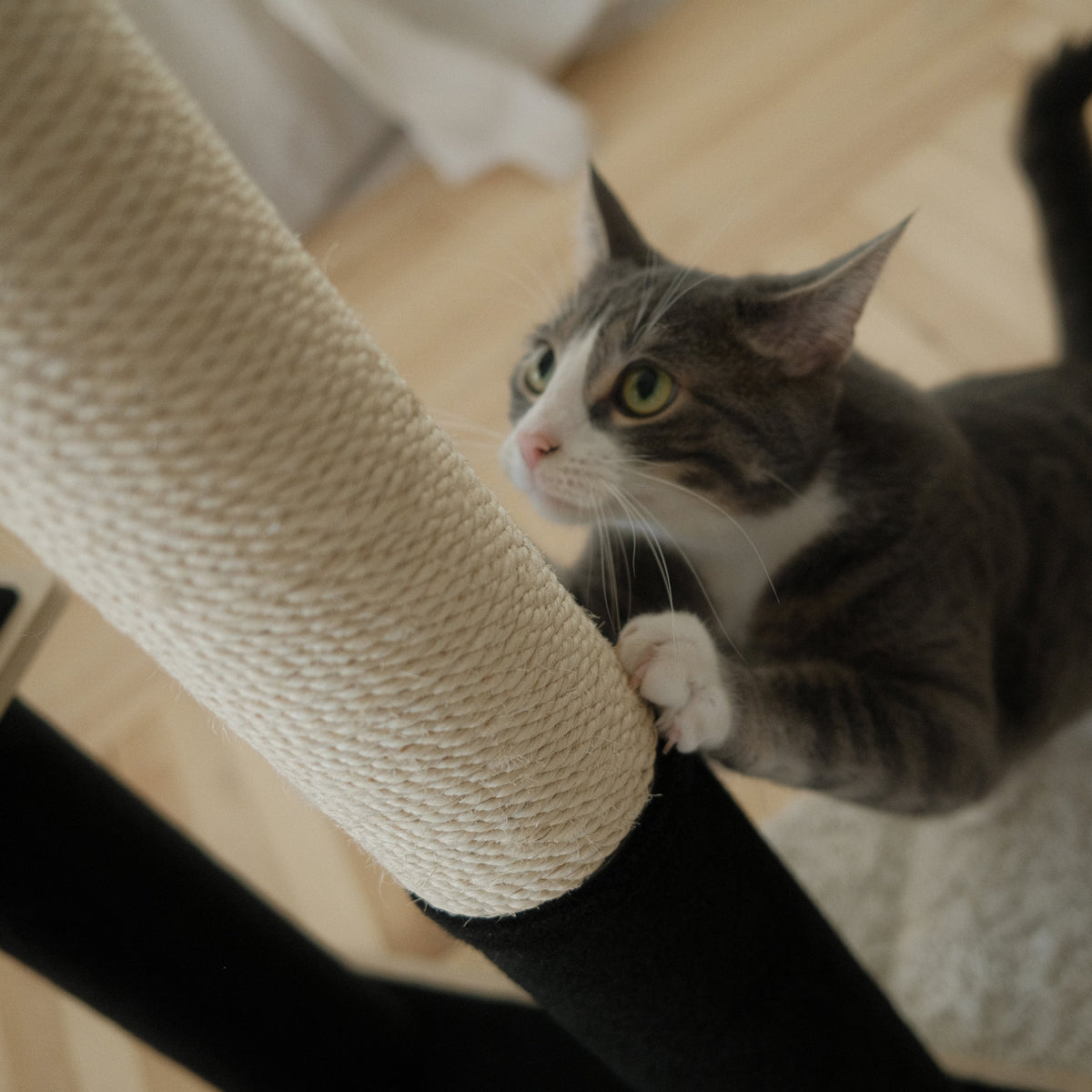 Noba Modern Plywood 2-Level Cat Tree-10