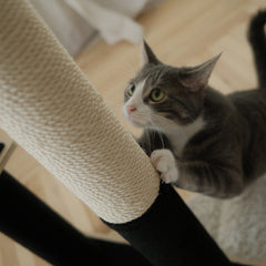 Noba Modern Plywood 2-Level Cat Tree-10
