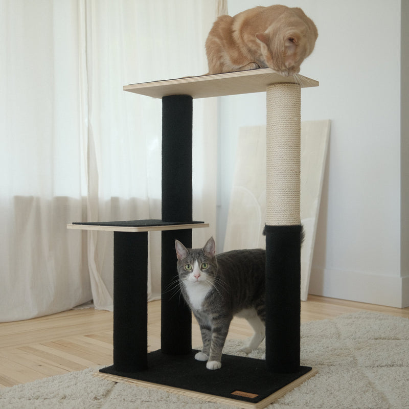 Noba Modern Plywood 2-Level Cat Tree-11