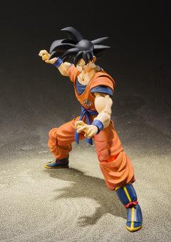 Dragon Ball Z S.H.Figuarts Goku - A Saiyan Raised On Earth-6