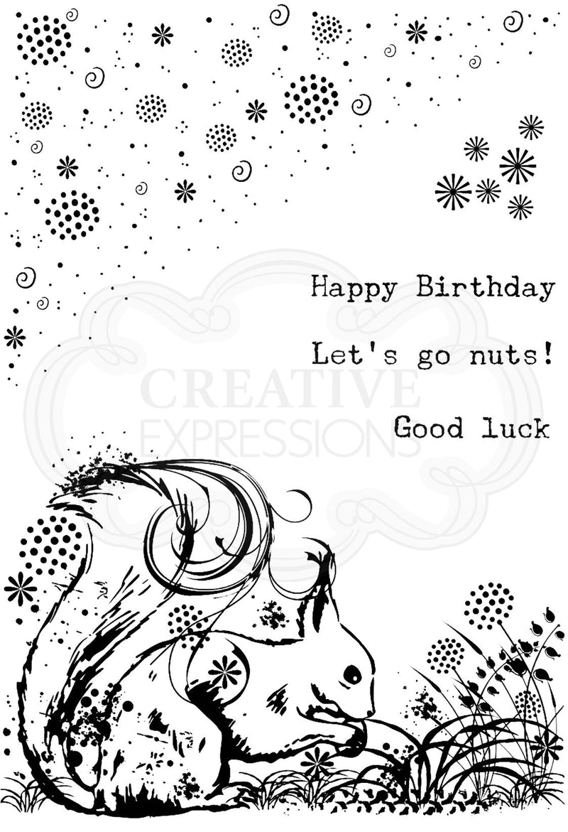 Creative Expressions Designer Boutique Woodland Walk Collection Sammy Squirrel A6 Clear Stamp Set-5