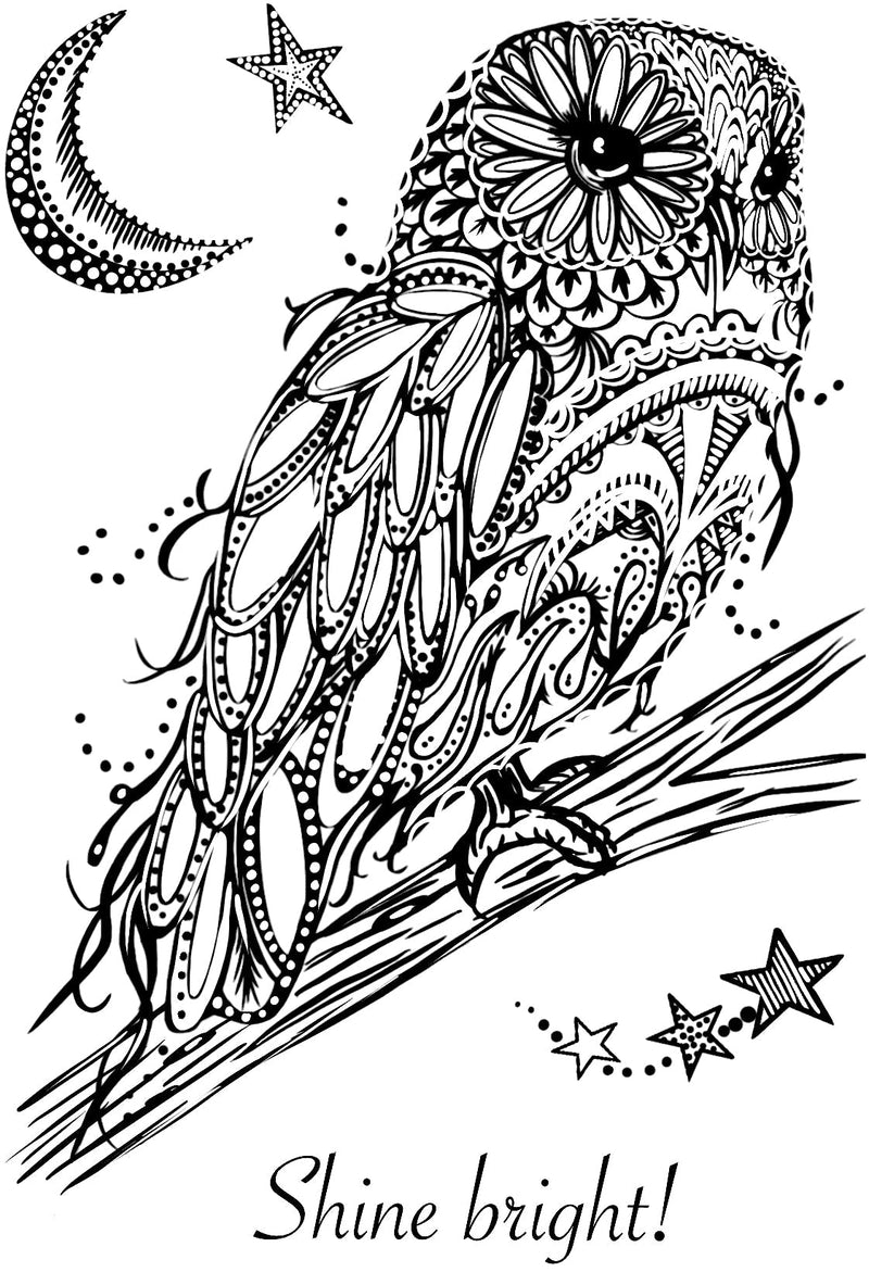 Creative Expressions Designer Boutique Doodle Owl 6 in x 4 in Clear Stamp Set-3