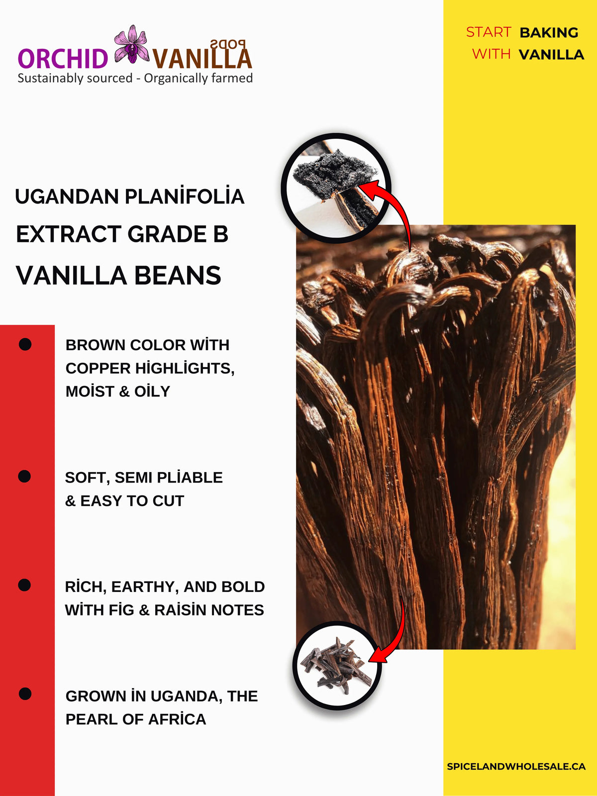 Ugandan Extract Vanilla Beans Grade-B <br>For Extract Making<BR>By Pound-1