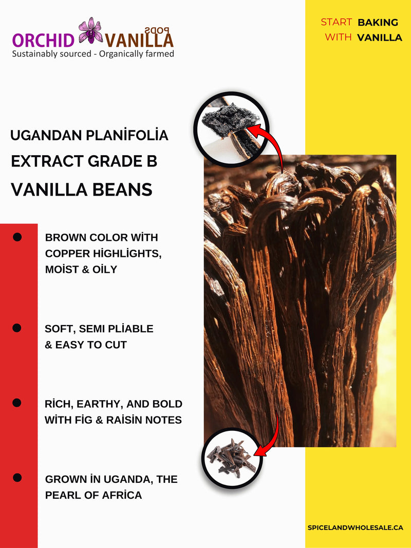Ugandan Extract Vanilla Beans Grade-B <br>For Extract Making<BR>By Pound-1