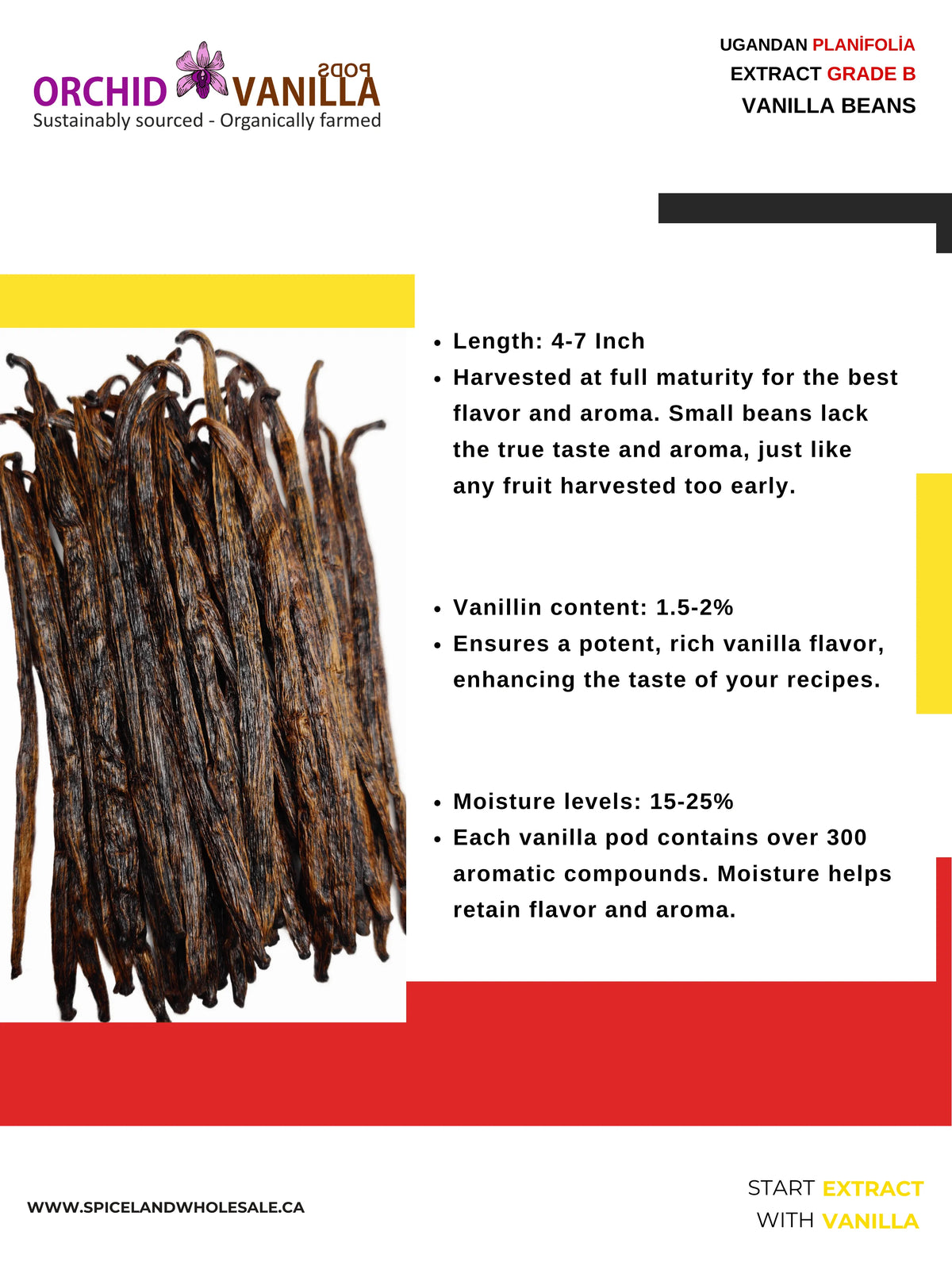 Ugandan Extract Vanilla Beans Grade-B <br>For Extract Making<BR>By Pound-2