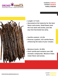 Ugandan Extract Vanilla Beans Grade-B <br>For Extract Making<BR>By Pound-2
