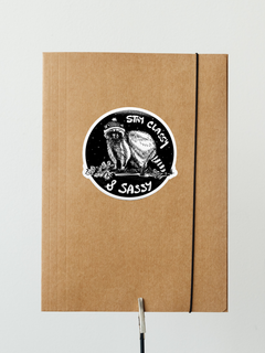 RACCOON Eco Vinyl Stickers-1