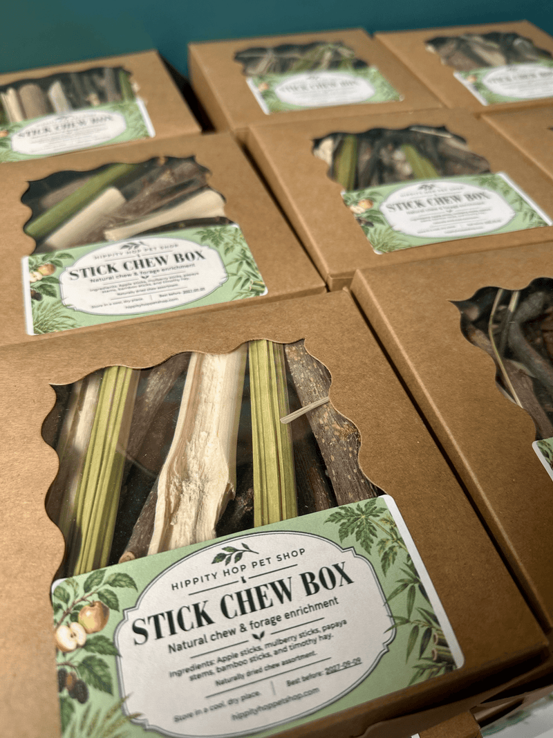 Bunny Chew Box: Apple, Kiwi, Currant & Gooseberry-1