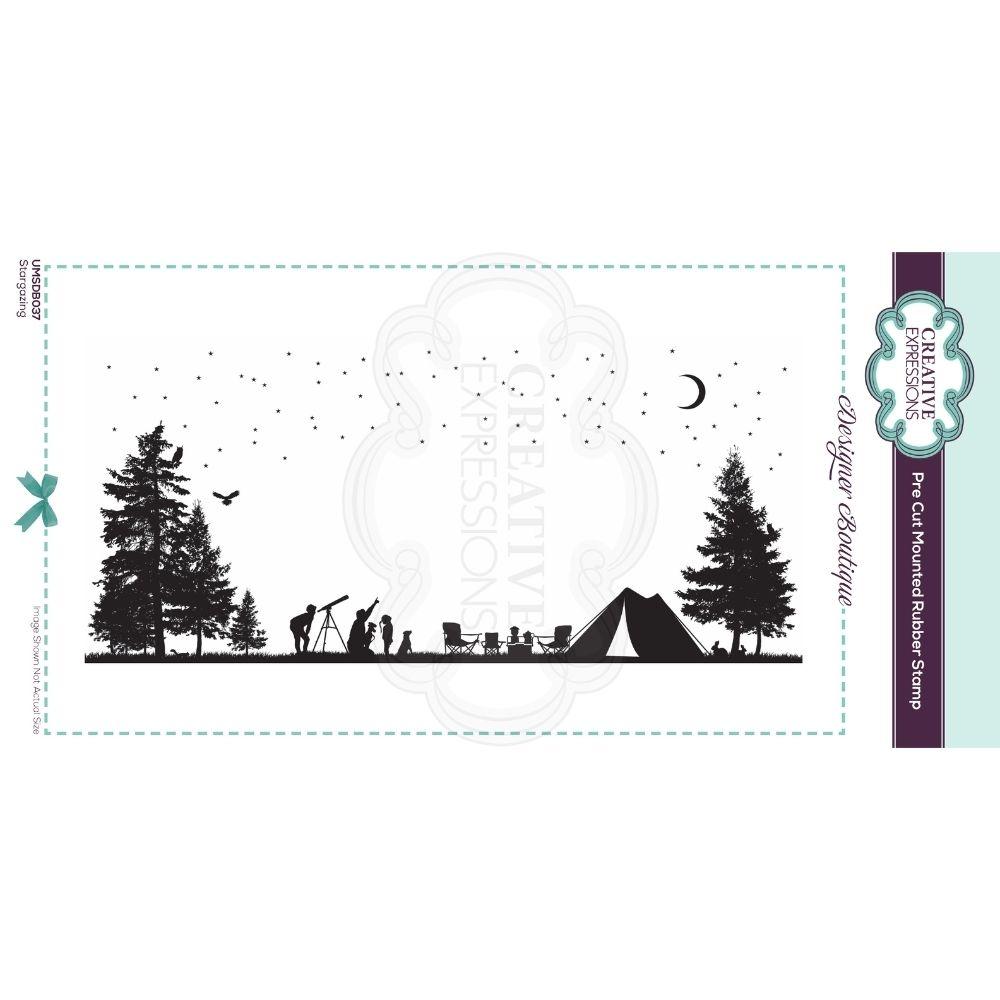Designer Boutique Collection Stargazing DL Pre Cut Rubber Stamp-1