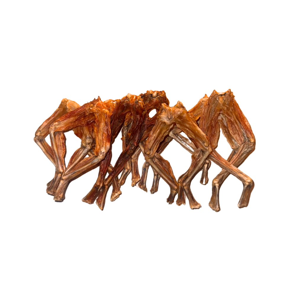 Frog Legs-2