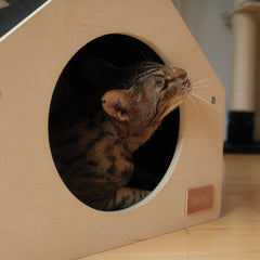 The Urban Condo Pet House-3